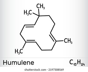 Molécula de humuleno, alfa-humuleno o α-caricofileno. Es un componente del aceite esencial del cono de floración de la planta de lúpulo, Humulus lupulus. Fórmula química esquelética. Ilustración del vector