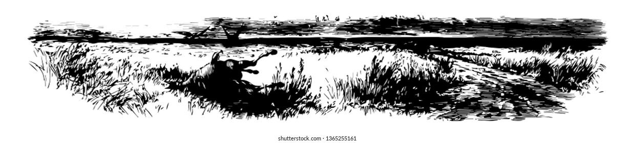 Hundred Mile Prairie showing image of the dead horse, the vultures, and large ground vintage line drawing.