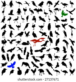 Hundred silhouettes of birds