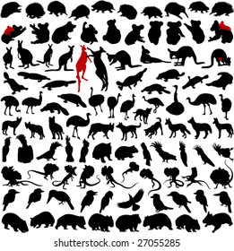 Hundred silhouettes of wild rare animals from Australia, Tanzania and New Zealand