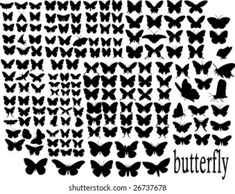 hundreds butterfly silhouettes vector