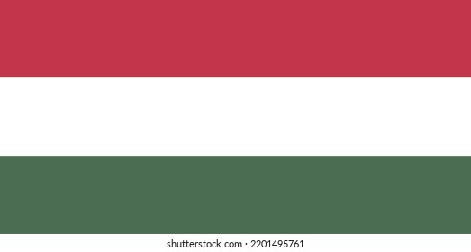 Mano de bandera húngara dibujada