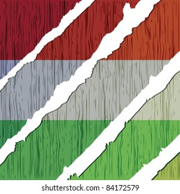 hungarian flag wooden texture