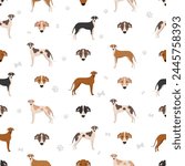 Hungarian greyhound seamless pattern. Different poses, coat colors set.  Vector illustration