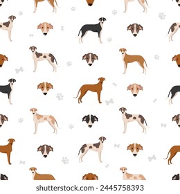 Hungarian greyhound seamless pattern. Different poses, coat colors set.  Vector illustration