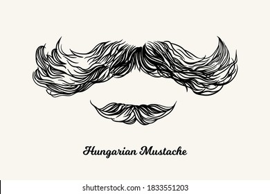 Hungarian mustache. Isolated men hairstyle for barber shop
