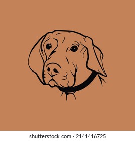Hungarian Vizsla Vector Illustration. Logo Design