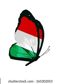 Hungary flag butterfly - vector