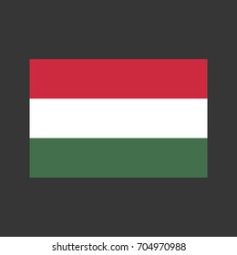 Hungary flag on the grey background. Vector illustration