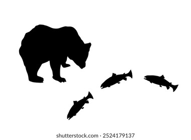 Hungry bear hunting fish salmon trout in river vector silhouette illustration isolated on white. Grizzly symbol. Big animal. Nature wildlife hunter bear catch the fish by jaws. Shape bear hunts shadow