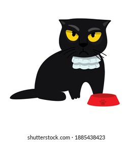 Hungry black cat wants to eat.