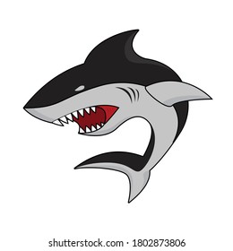 Hungry black shark Vector illustration