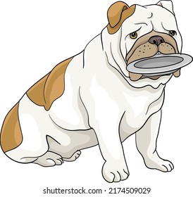 Hungriger Bulldogge, der sitzt und eine Schüssel mit den Zähnen hält, der Vektorgrafik-Hund zeichnet