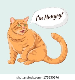 hungry cat