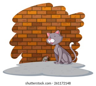 Hungry cat waiting for the rat on a white background