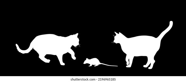 Hungry cats is chasing the mouse vector silhouette illustration isolated on black background. Cat eat rat symbol. Feline hunter hunting prey. Team work scene.