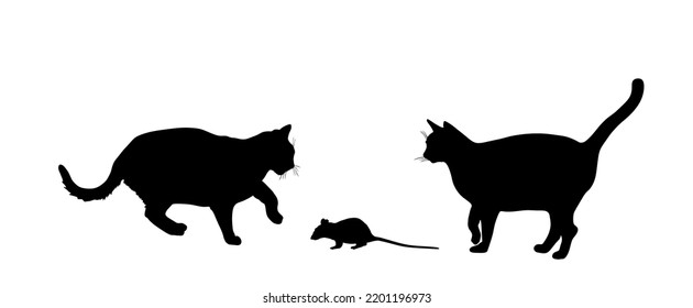 Hungry cats is chasing the mouse vector silhouette illustration isolated on white background. Cat eat rat symbol. Feline hunter hunting prey. Team work scene.
