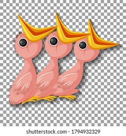 Hungry chick cartoon isolated illustration