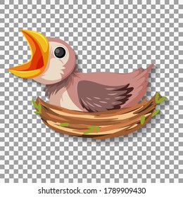 Hungry chick waiting for food in the nest illustration