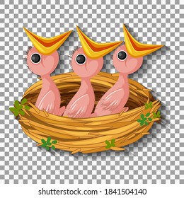 Hungry chick waiting for food in the nest illustration
