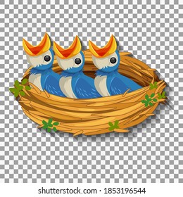 Hungry chick waiting for food in the nest illustration