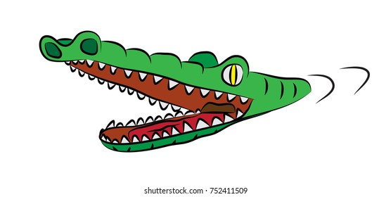 Hungry crocodile with open mouth, full of sharp teeth, swiming in watter.