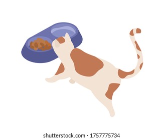 Hungry cute cat eating feed and drink water vector isometric illustration. Funny spotted domestic animal having meal isolated on white background. Feline with tail approaching to bowl enjoying food