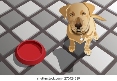 Hungry dog