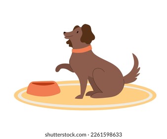Hungry dog sits on a yellow mat near a bowl. Friendly puppy holds out his paw.