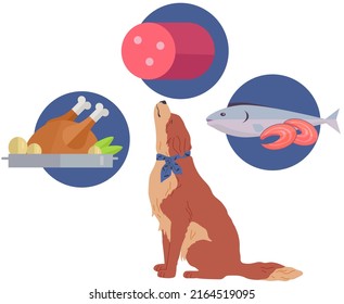 Hungry doggy is dreaming of tasty chicken and sausage. Big dog closed his eyes and thinks of food, domestic animal sitting isolated on white. Pet at home in kitchen or poor shelter dog with delicious