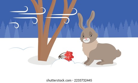 hungry hare looking for food