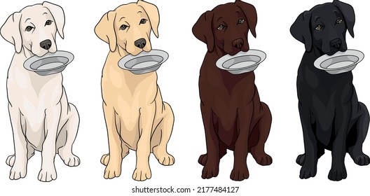 Hungry labrador, cane corso, doggo argentino, sitting, holding a bowl in his teeth drawing vector illustration, dark, black, creamy, white, chocolate, dog, puppy, 