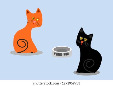 Hungry orange and black cats want to feed them