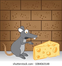 hungry rat so surprised and happy  because have a big piece of cheese in front