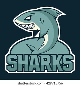 Hungry shark, angry shark, cartoon shark, shark great, white shark, shark wiith big teeth, shark image, shark fin, shark fish, shark attack. Vector. Sharks logo, emblem for a sport team.