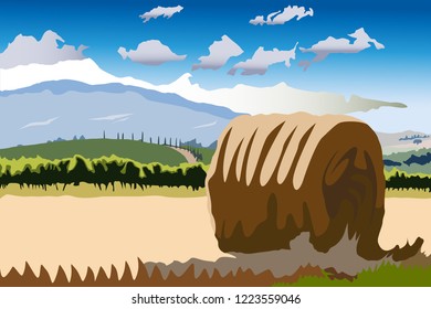 a hunk of a hay in the field vector illustration