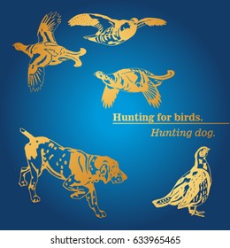 Hunt for birds. Hunt dog. Scenes of textbooks. Ducks and grouse.