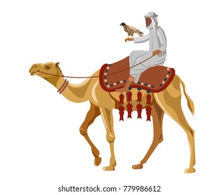 Hunter with falcon on camel. Vector illustration isolated on white background.