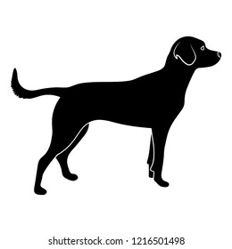 Hunting dog black icon vector