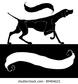 hunting dog elegant black and white
