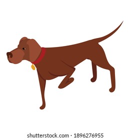 Jagd Hund Symbol. Isometrisch auf Jagd und Hund Vektorsymbol für Webdesign einzeln auf weißem Hintergrund
