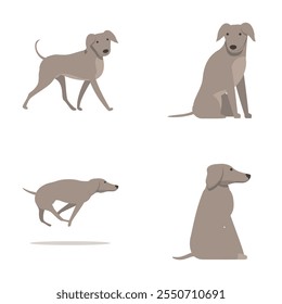 Conjunto de iconos de perro de caza Vector de dibujos animados. Lindo personaje de galgo inglés. Mascota, animal