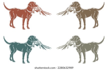 Hunting Dog With A Pheasant Vector Illustration
