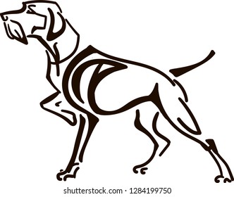 A hunting dog in rack
