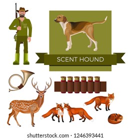 Hunting dog. Set of vector illustration with scent hound, hunter, horn, foxes, deer and cartridges on white background
