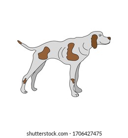 hunting dog with spots, vector illustration