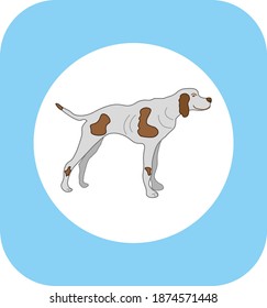 hunting dog with spots, vector illustration