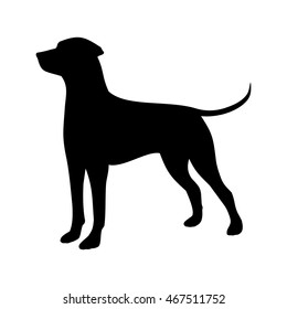 hunting dog vector illustration