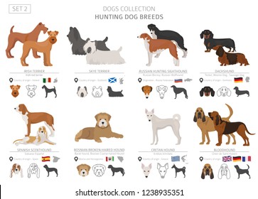 Bloodhound Images, Stock Photos & Vectors | Shutterstock