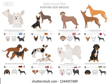 Hunting Dogs Collection Isolated On White Stock Vector (Royalty Free ...